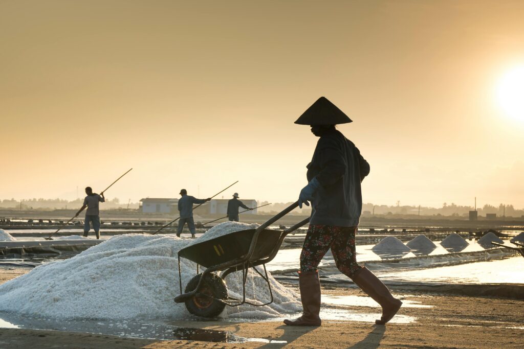Silhouettes of workers harvesting salt at sunset in rural area.